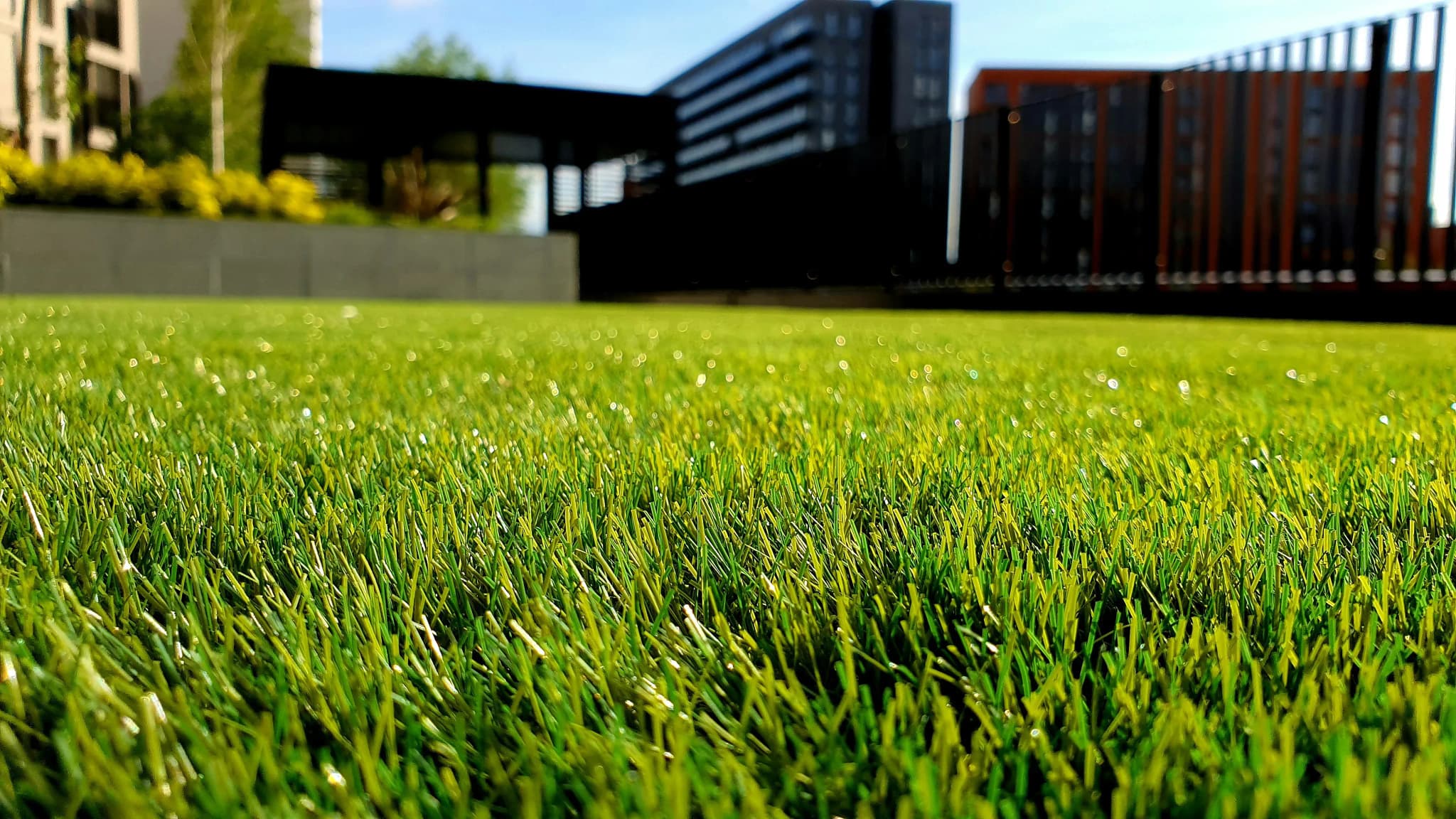 Lawn Mowing